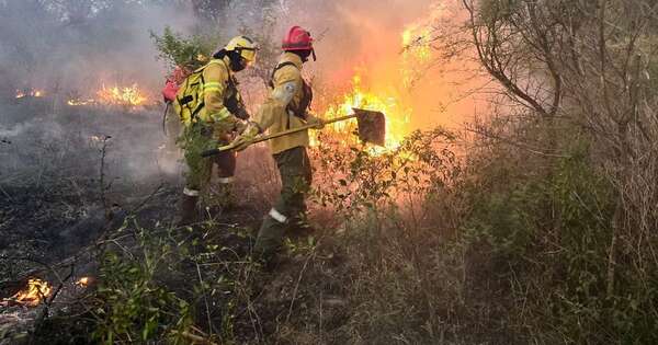La Nación / Incendios forestales arrasan la provincia de Corrientes