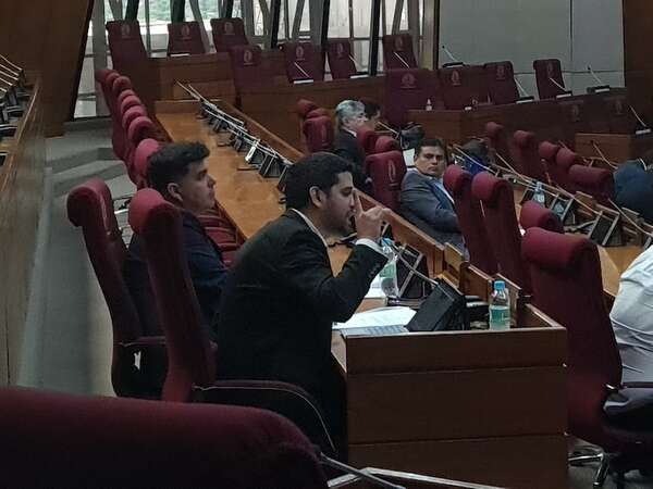 Cartistas frustran declaración del Congreso que instaba a Peña a echar a ministros salpicados por chats de Lalo - Política - ABC Color
