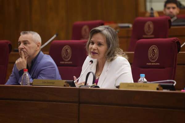 Lilian Samaniego propone una cumbre de los tres poderes del Estado y crear por ley la carrera judicial - Política - ABC Color