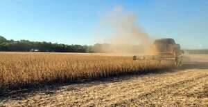 Zafriña: alertan sobre distribución irregular de lluvias y altas temperaturas - Economía - ABC Color