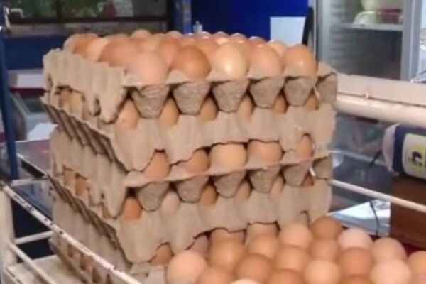 Precio de los huevos sigue en alza - SNT