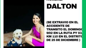 ¿Dónde está Dalton? Sus dueños murieron y él escapó
