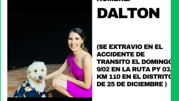 ¿Dónde está Dalton? Sus dueños murieron y él escapó