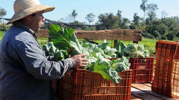 Productores piden control para que proyecto Hambre Cero los beneficie