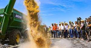 La Nación / Cosecha de arroz 2025: Paraguay tiene un ambiente muy propicio para el cultivo