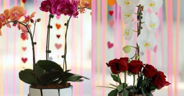 La Nación / Un tributo al amor: descubre la nueva colección de Keiki