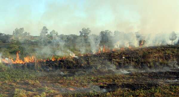 Bomberos alertan sobre riesgo de incendios debido a la ola de calor