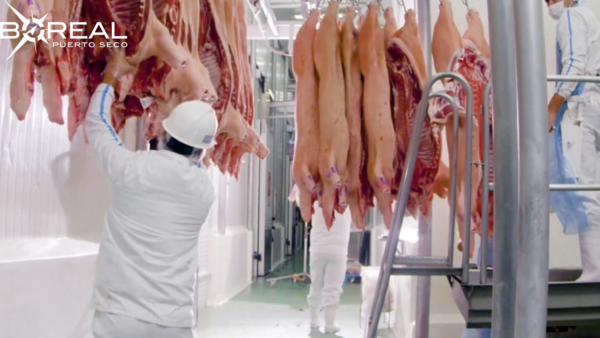 Paraguay exportó carne porcina a Taiwán por un valor de USD 29 millones - Unicanal