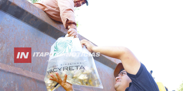ENTIDAD BINACIONAL YACYRETÁ ENTREGA 6.000 ALEVINES DE PACÚ A PRODUCTORES DE CAPITÁN MIRANDA - Itapúa Noticias
