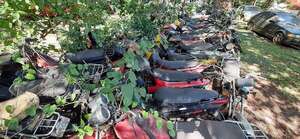 Solicitan orden judicial para destruir vehículos abandonados en el corralón municipal de Ciudad del Este  - ABC en el Este - ABC Color