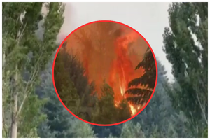 Incendios golpean a Argentina y Paraguay: crisis por la falta de lluvias - SNT