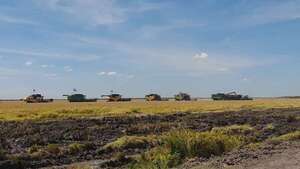 Lanzan oficialmente la cosecha de arroz 2025 en Ñeembucú - Nacionales - ABC Color