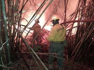 Bomberos y otras instituciones trabajan para sofocar el fuego en San Bernardino