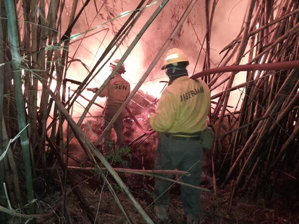 Bomberos y otras instituciones trabajan para sofocar el fuego en San Bernardino