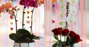 La Nación / Un tributo al amor: descubre la nueva colección de Keiki