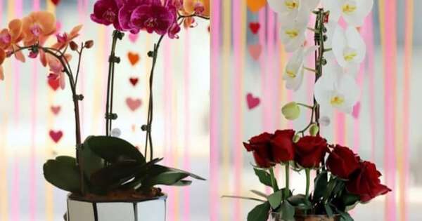 La Nación / Un tributo al amor: descubre la nueva colección de Keiki