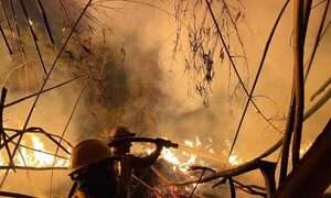 (Video) Bomberos nuevamente combaten el fuego en la zona de la Ruta Eco-vía
