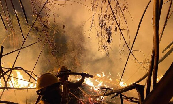 (Video) Bomberos nuevamente combaten el fuego en la zona de la Ruta Eco-vía