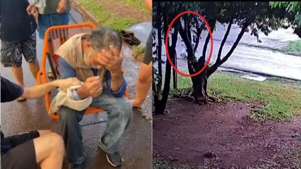Dos pitbulls atacaron brutalmente a un hombre de 65 años