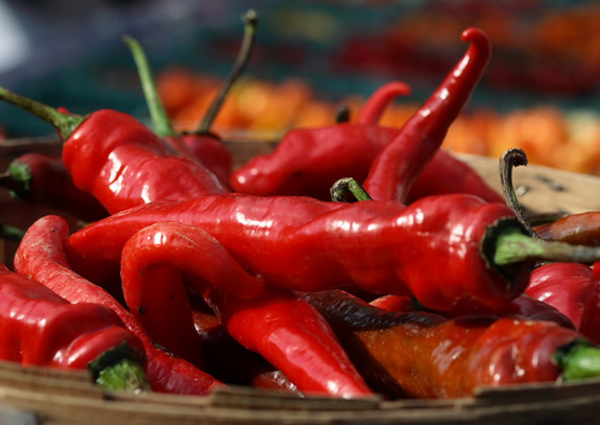 Proyecto de industrialización y exportación de pasta de ají picante a EE.UU. - 1000 Noticias