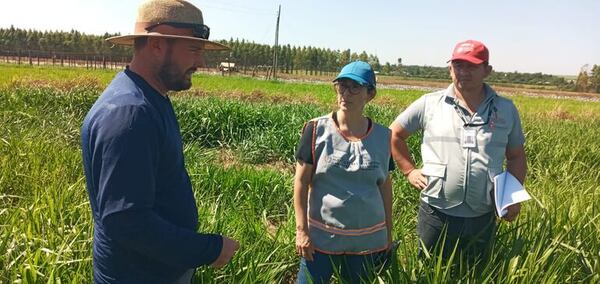 ¿En qué consiste la “Encuesta Nacional Agropecuaria”, que el MAG empezará en marzo? - Economía - ABC Color