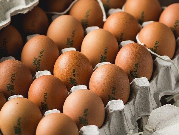 Avicultor detalla factores que afectan el costo de los huevos · Radio Monumental 1080 AM
