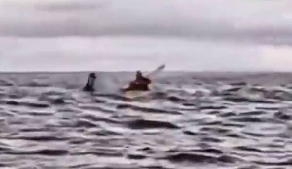 [VIDEO] Onda Pinocho: ¡se lo tragó una ballena!; “pensé que había muerto”, he’i el arriero
