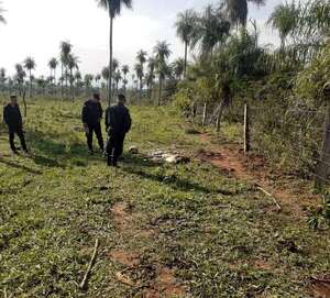 Paraguarí enfrenta creciente ola de abigeato que perjudica a la ganadería - Nacionales - ABC Color