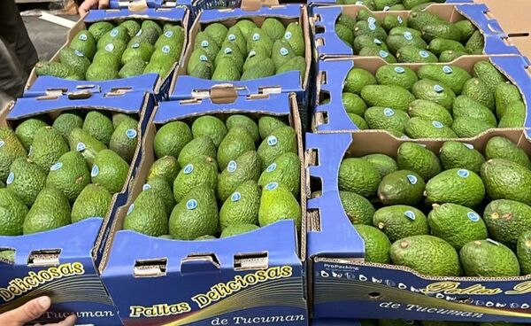 INNOVAR 2025 impulsa avances en cultivos y tecnología agrícola