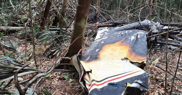 La Nación / Brasil abatió avión clandestino de Venezuela con drogas