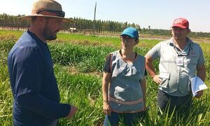 Encuesta Nacional Agropecuaria 2025 iniciará en marzo