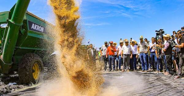 La Nación / Paraguay, con ambiente muy propicio para el cultivo de arroz