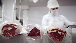 Ganaderos uruguayos piden revisión de la compra de frigoríficos por Minerva