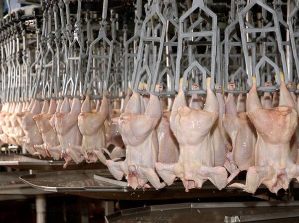 Estiman que en la próxima década crecerá la producción global de carnes, con el pollo como líder indiscutido