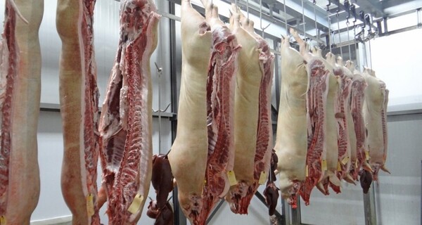 En 2024, la exportación de carne porcina alcanzó USD 29 millones
