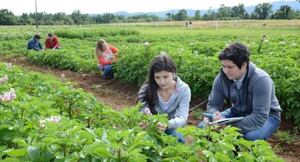 Lanzan especialización en formación por competencias para ciencias agrarias y forestales