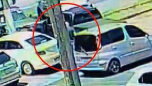 Tortoleros hacen de las suyas en estacionamiento de un súper de Fernando de la Mora