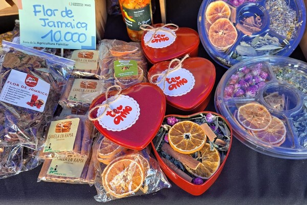 Familias de Central y Bajo Chaco ofertan productos agrícolas sin intermediarios en Lambaré - .::Agencia IP::.