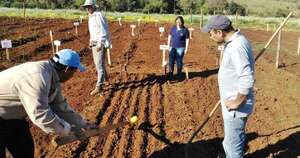 La Nación / Encuesta Nacional Agropecuaria abarcará a 20.000 productores en marzo y abril