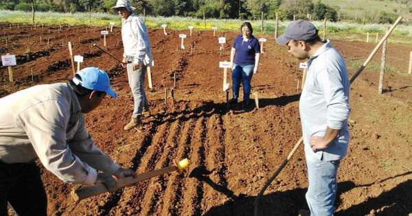 La Nación / Encuesta Nacional Agropecuaria abarcará a 20.000 productores en marzo y abril
