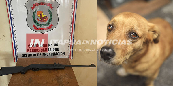 OTRO CASO DE CRUELDAD ANIMAL: MENOR HIERE A UN PERRO CON UN RIFLE - Itapúa Noticias