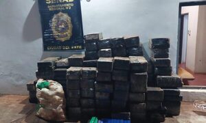 Incautan más de una tonelada de marihuana prensada en la frontera entre Alto Paraná y Canindeyú