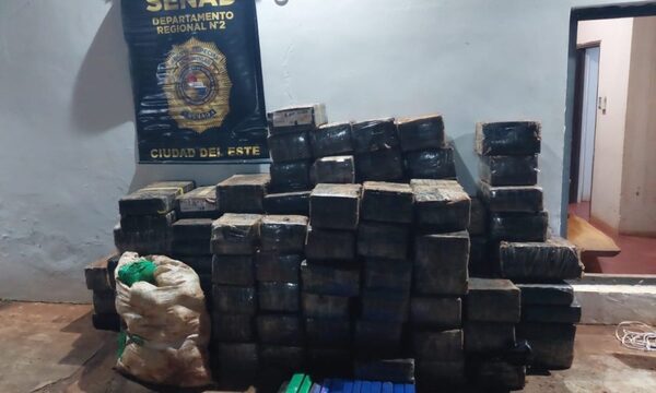 Incautan más de una tonelada de marihuana prensada en la frontera entre Alto Paraná y Canindeyú