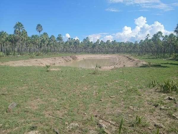 Alto Paraguay: No llegan las grandes lluvias y preocupa la aparición tempranera de la sequía - Noticias del Chaco - ABC Color
