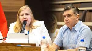 Peña se suma a la lista de encubridores y cómplices de agentes al servicio del crimen organizado, dice senador Filizzola - Política - ABC Color