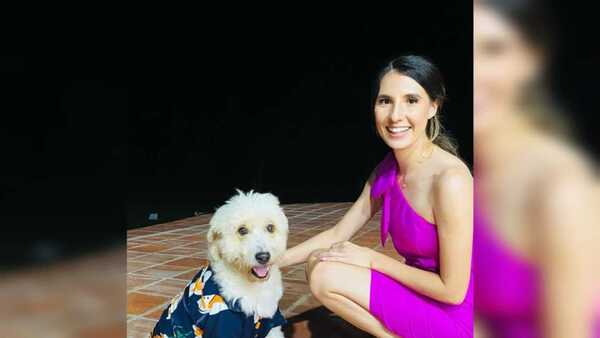 Caniche desapareció tras sobrevivir a choque en que murieron sus dueños