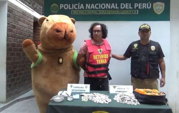 Video: Policía se disfraza de ‘Capibara del amor’ para capturar a traficante de drogas - Mundo - ABC Color