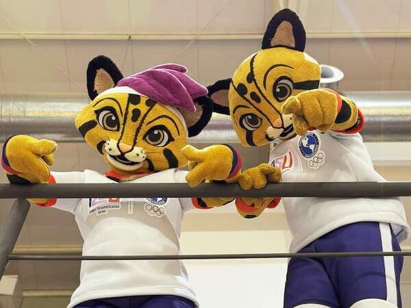 Tika y Tito son las mascotas de los Juegos Panamericanos Junior ASU2025 - Empresariales - ABC Color