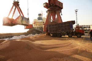 Las exportaciones de productos del sector primario arrancaron el año con números positivos | Agronegocios | 5Días
