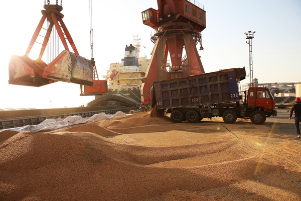 Las exportaciones de productos del sector primario arrancaron el año con números positivos | Agronegocios | 5Días